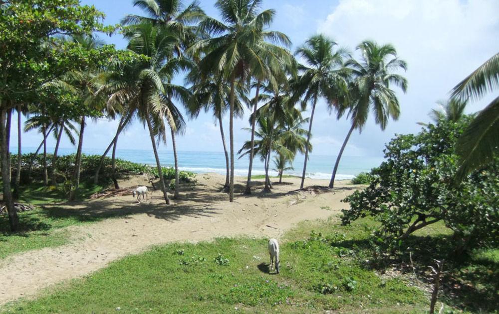 Brisas Doradas Cabarete Kültér fotó